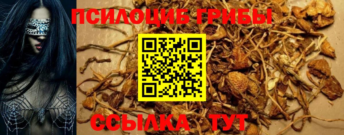 Псилоцибиновые грибы мицелий Семёнов